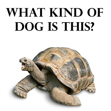 Artwork thumbnail, Borat- "What Kind Of Dog Is This?" by lyssafox