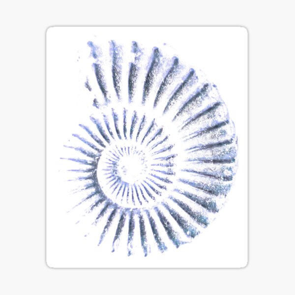 Ammonite Sticker