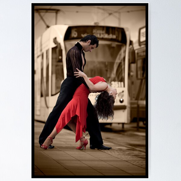 Draped In Elegance Poster