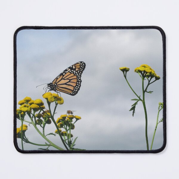 Item preview, Monarch on Tansy designed and sold by coffeebean.