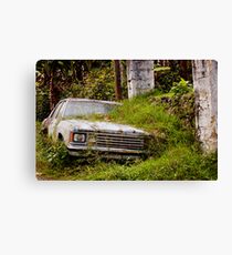 Car crash Canvas Print