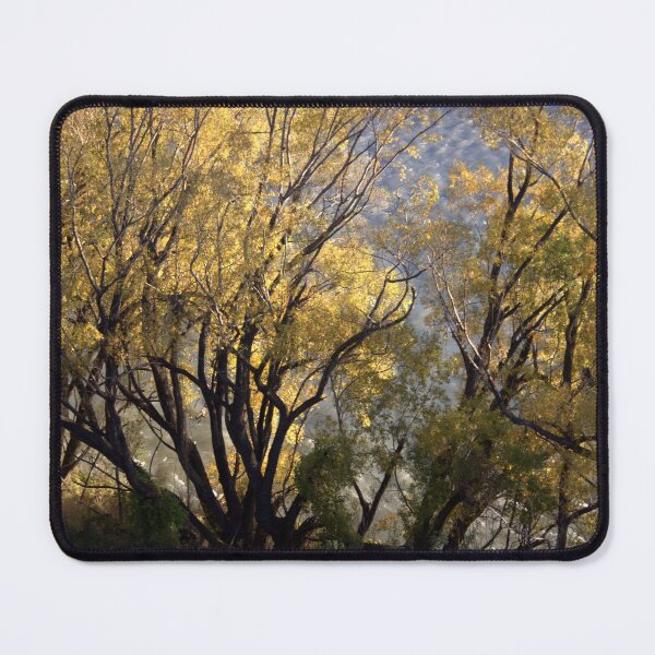 Item preview, Gold Season designed and sold by coffeebean.