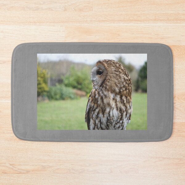 Item preview, Brown Tawny Owl designed and sold by thelemmingface.
