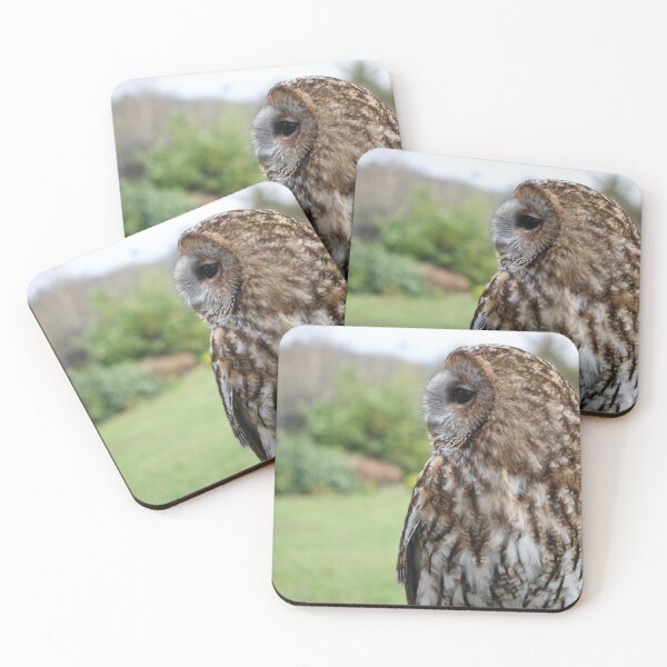 Item preview, Brown Tawny Owl designed and sold by thelemmingface.