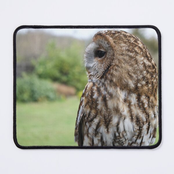 Item preview, Brown Tawny Owl designed and sold by thelemmingface.