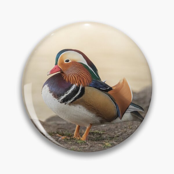 Item preview, Male mandarin duck designed and sold by JLP ARTWORKS.