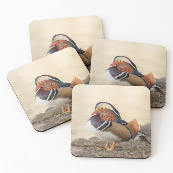 Item preview, Male mandarin duck designed and sold by JLP ARTWORKS.
