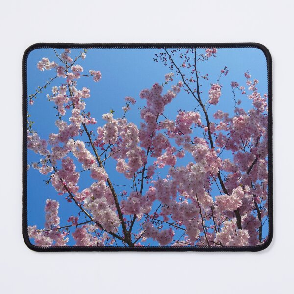 Item preview, Pink cherry blossom, blue sky 22 designed and sold by LittleBettyMakes.
