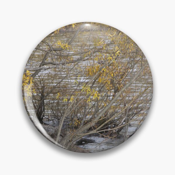 Item preview, Willow Water designed and sold by coffeebean.