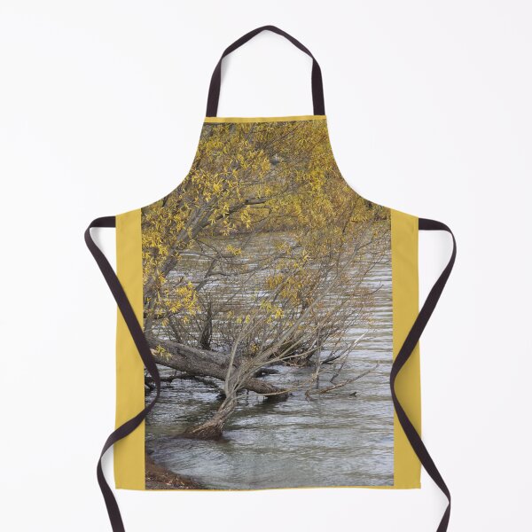 Item preview, Willow Water designed and sold by coffeebean.