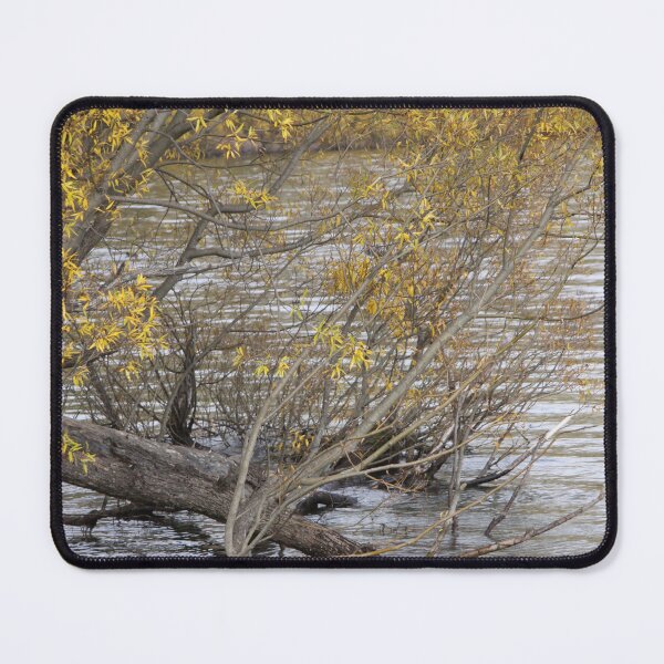 Item preview, Willow Water designed and sold by coffeebean.