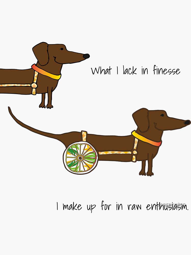 Finesse & Enthusiasm by Jensphotos
