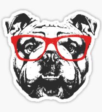 English Bulldog Sticker
