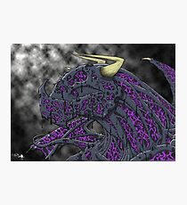 Chaos rises Photographic Print