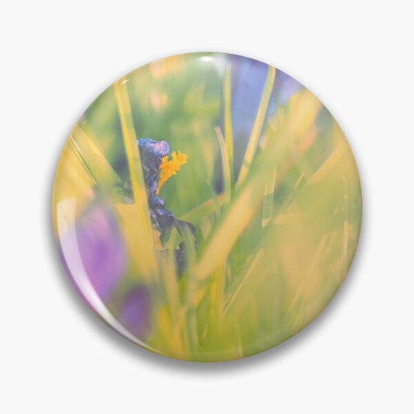 Item preview, Looking - A View  - F/2.8  - Broken Glass  designed and sold by Carl Gaynor.