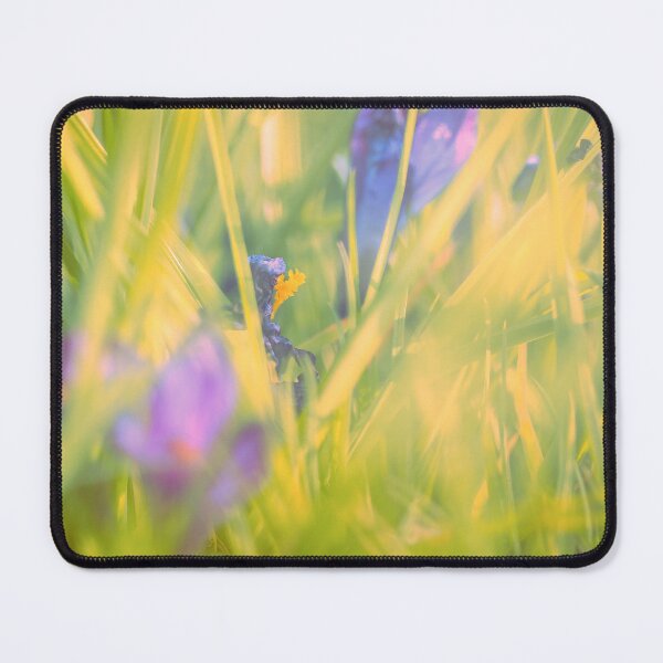 Item preview, Looking - A View  - F/2.8  - Broken Glass  designed and sold by Carl Gaynor.