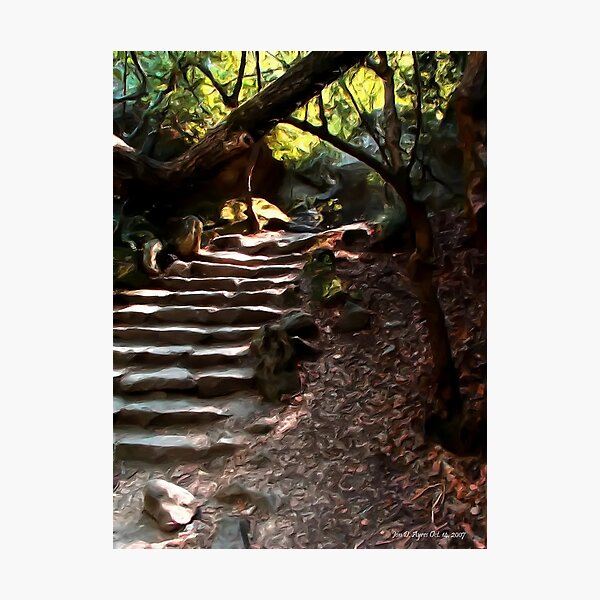 Item preview, The steps leading to Alupka Palace designed and sold by Jon Ayres.