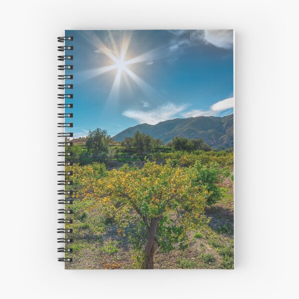 Item preview, Sun ripened fruit designed and sold by Ralph Goldsmith.