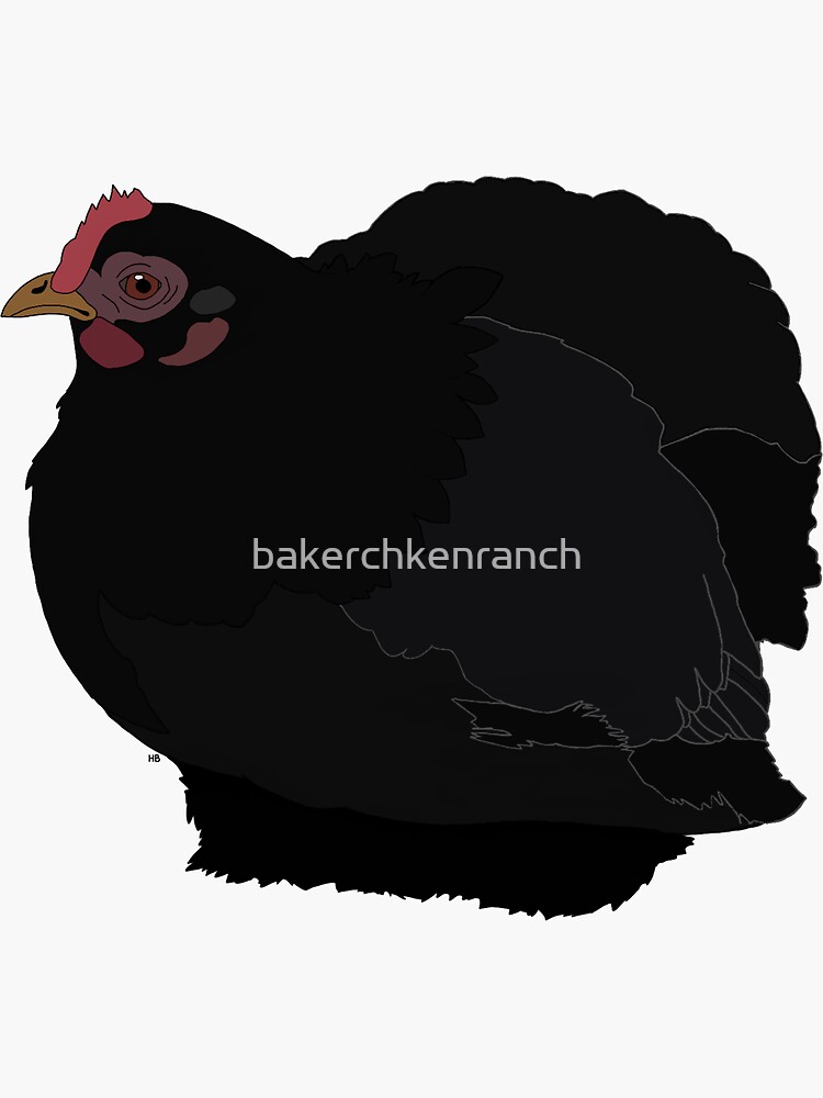 Black Cochin Bantam Hen Sticker For Sale By Bakerchkenranch Redbubble