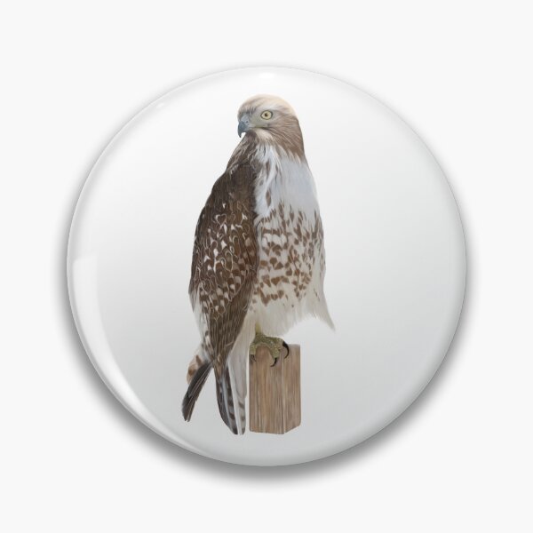 Item preview, Ferruginous Hawk designed and sold by Wondersofwhimsy.