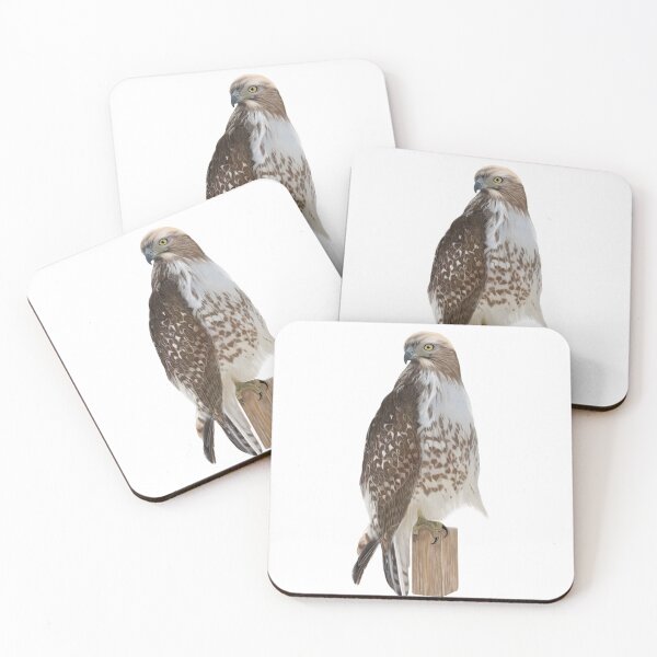Item preview, Ferruginous Hawk designed and sold by Wondersofwhimsy.
