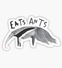 What does an anteater do? Sticker