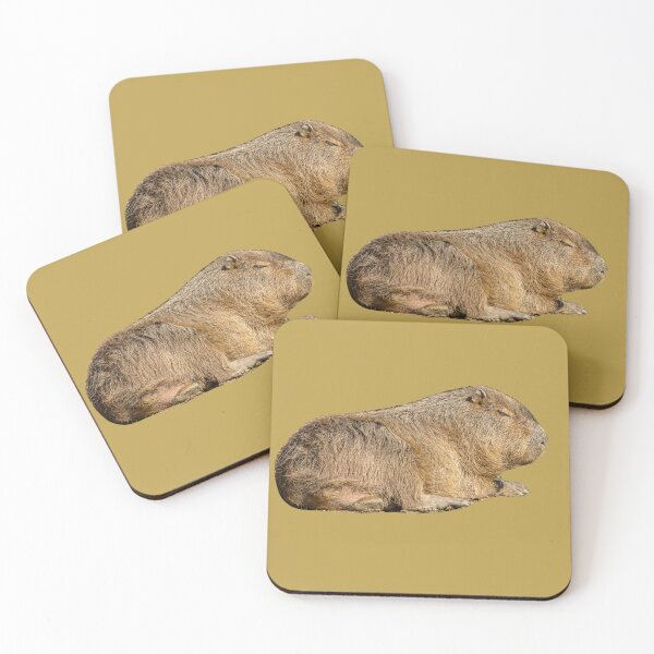 Item preview, Resting Capybara designed and sold by Dalyndigital Photography.