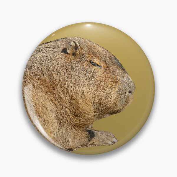 Item preview, Resting Capybara designed and sold by Dalyndigital Photography.