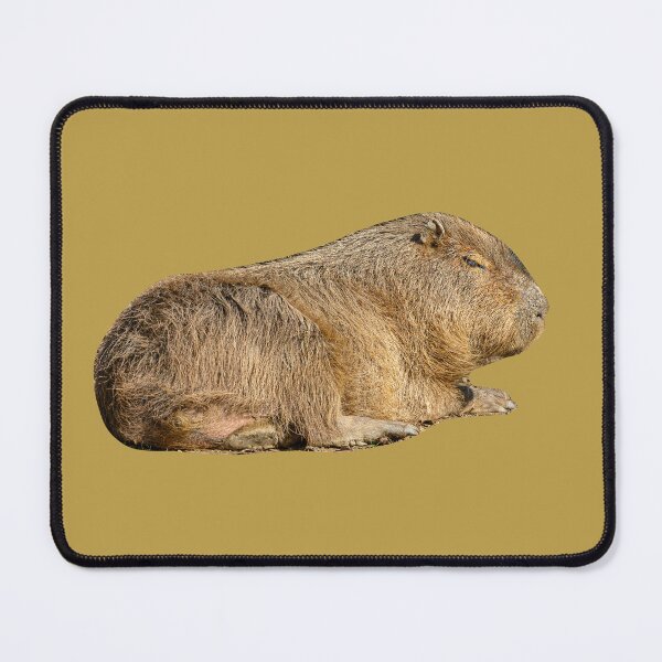 Item preview, Resting Capybara designed and sold by Dalyndigital Photography.