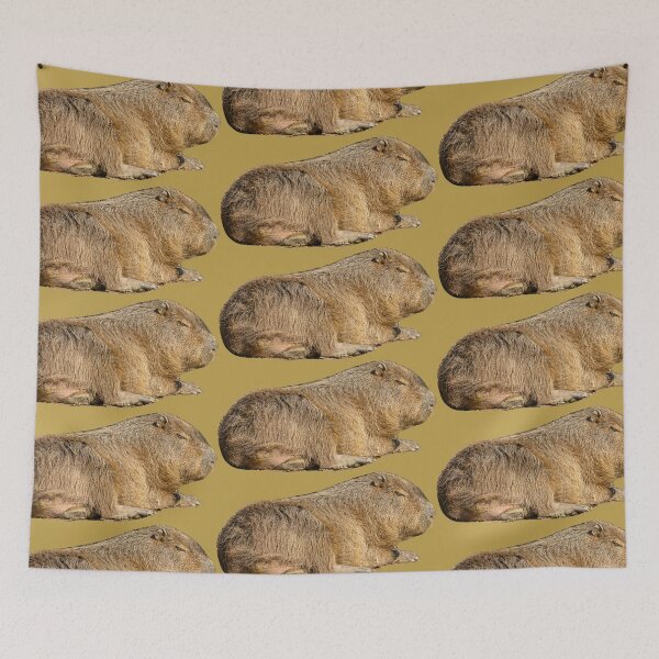 Item preview, Resting Capybara designed and sold by Dalyndigital Photography.