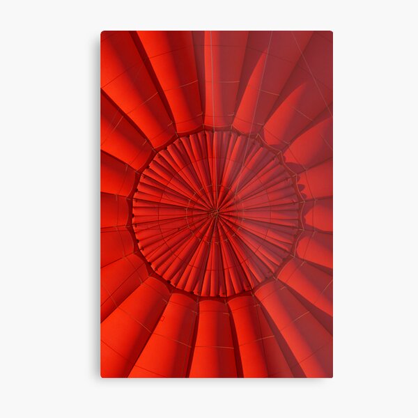 Hot Air Balloon Metal Print