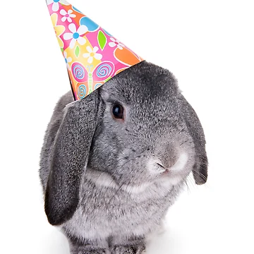 Artwork thumbnail, Birthday Rabbit by idapix