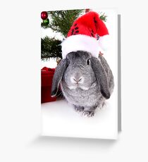 Christmas Rabbit Grußkarte