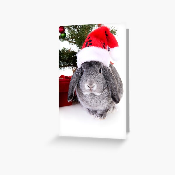 Christmas Rabbit Greeting Card