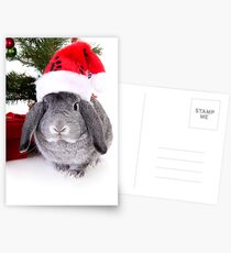 Christmas Rabbit Postcards
