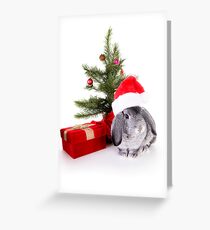 Christmas Rabbit Greeting Card