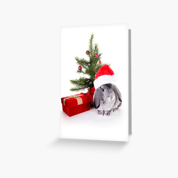 Christmas Rabbit Greeting Card