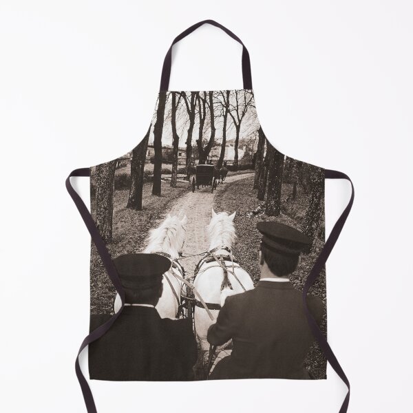 Item preview, r662/ silver time  " Open day at Haras de Saintes (17) France 1981 - Journée porte Ouverte au Haras de Saintes  " Okaio Créations Olavia-Olao designed and sold by o.okaïo.