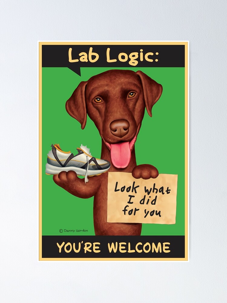 "Chocolate Lab Holding Shoe And Sign h92" Poster for Sale by