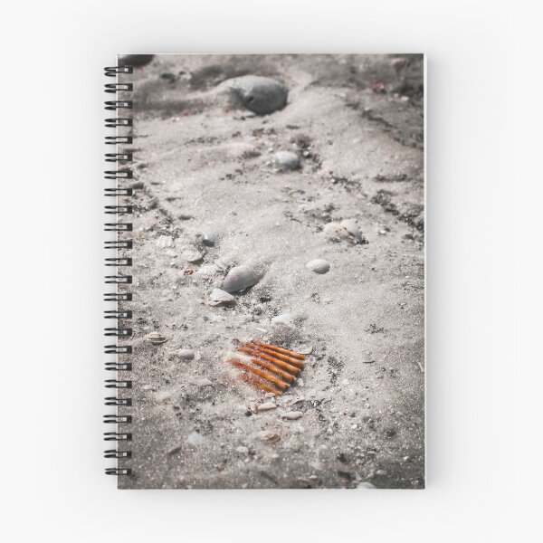 Item preview, Fort Myers Sea Shell designed and sold by Nick Caldwell.