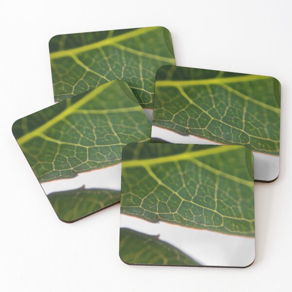 Item preview, Beautiful Natural Leaves designed and sold by MyMacro_Photography (MyMacro).