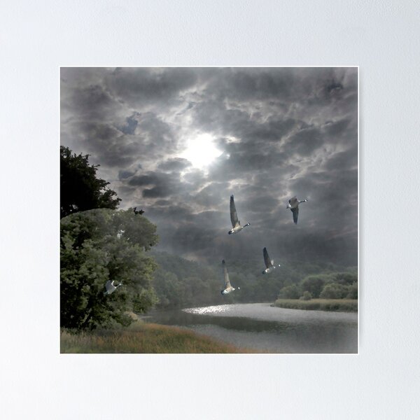 Item preview, Land and river designed and sold by toots.