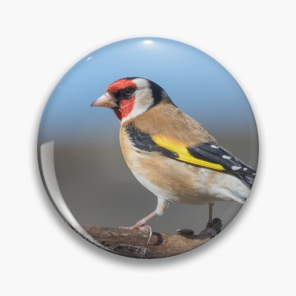 Artikelvorschau, Goldfinch entworfen und verkauft von LaurenTucker.