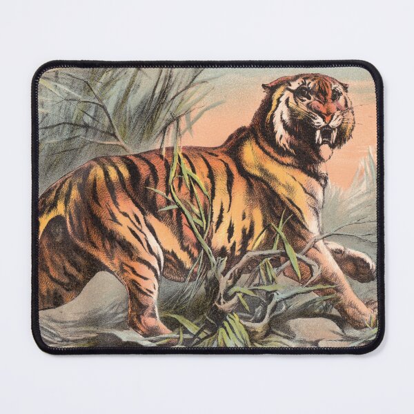 Item preview, Royal Bengal Tiger designed and sold by VintageABC.