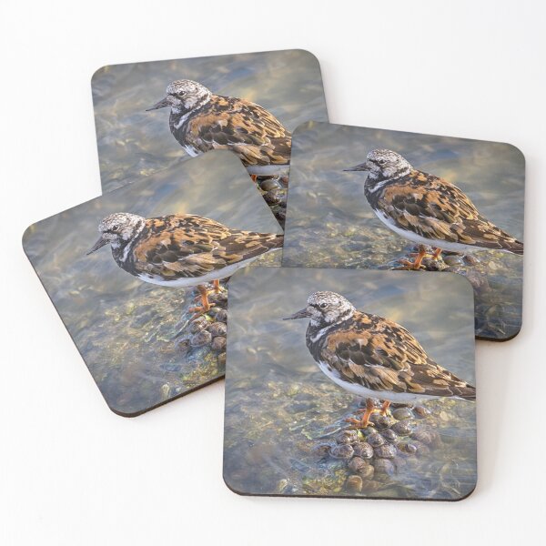 Item preview, Turnstone designed and sold by Geoff Carpenter.