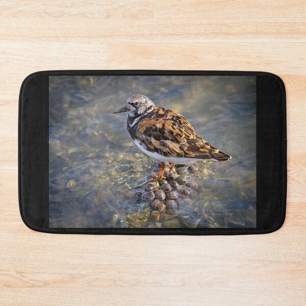 Item preview, Turnstone designed and sold by Geoff Carpenter.