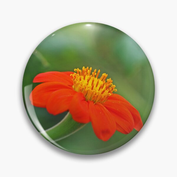 Artikelvorschau, Mexikanische Sonnenblume entworfen und verkauft von Michiale.