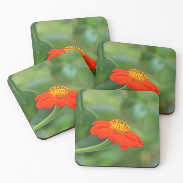 Item preview, Mexican Sunflower  designed and sold by Michiale.