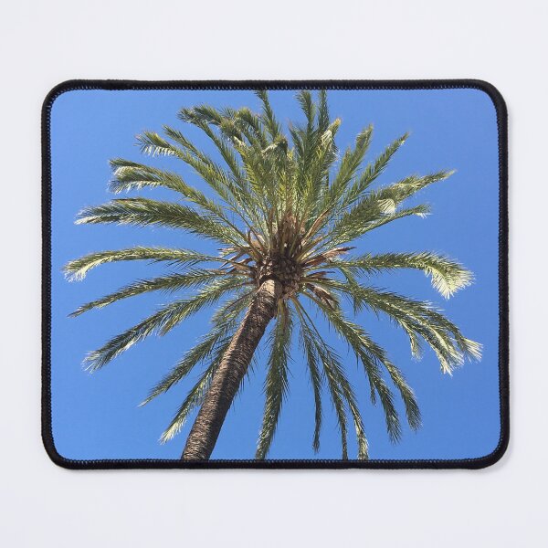 Item preview, Clear summer sky and tenerife palm tree designed and sold by ray-designs-.
