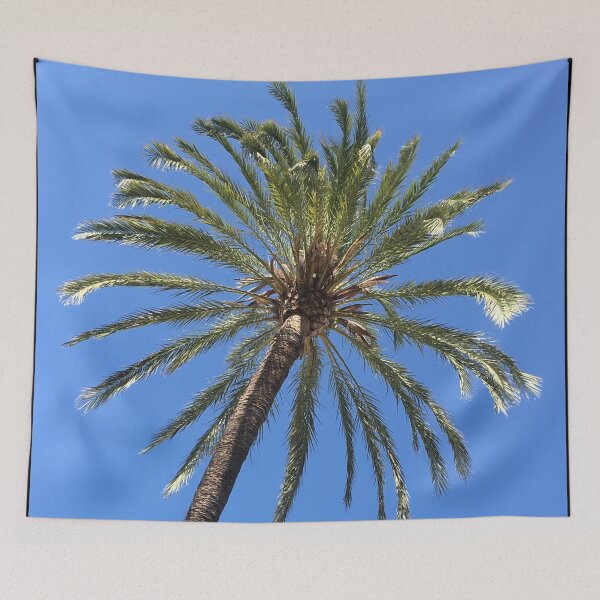 Item preview, Clear summer sky and tenerife palm tree designed and sold by ray-designs-.